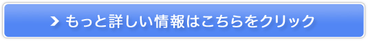 u_CGbgX[W[̔TCg